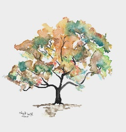 On Reflection Counselling Logo